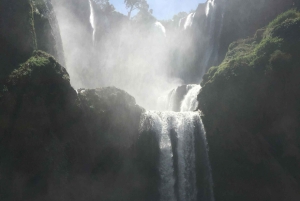 Marrakech: escursione privata alle cascate di Ouzoud e pranzo tipico