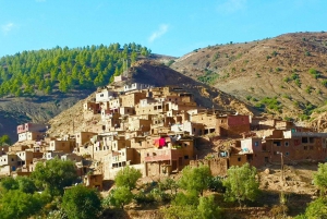 Marrakech: Tour particular pelo Vale do Ourika e Montanhas Atlas