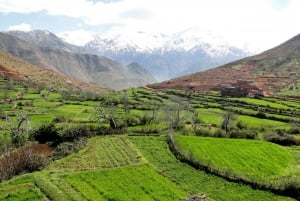 Marrakech: Tour particular pelo Vale do Ourika e Montanhas Atlas