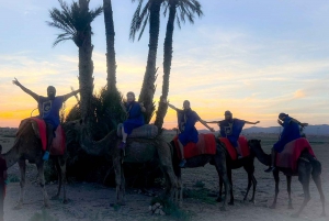 Marrakech: Private Palm Grove Camel and Quad Bike Ride