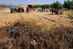 Marrakech: Private Rescue Farm Visit with Lunch + Transport