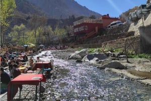 Marrakech : Privat till Ourika Valley Atlasbergen & Lunch