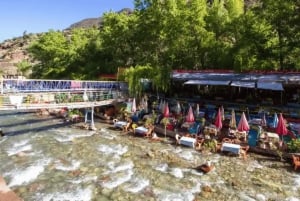 Marrakech : Privat till Ourika Valley Atlasbergen & Lunch
