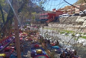 Marrakech : Privat till Ourika Valley Atlasbergen & Lunch