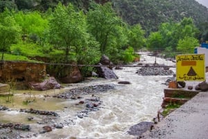 Marrakech : Privat till Ourika Valley Atlasbergen & Lunch