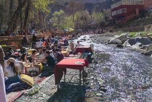 Marrakech : Privat till Ourika Valley Atlasbergen & Lunch