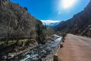 Marrakech : Privat till Ourika Valley Atlasbergen & Lunch