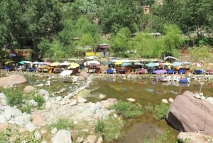 Marrakech : Privat till Ourika Valley Atlasbergen & Lunch