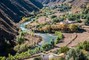 Marrakech : Privat till Ourika Valley Atlasbergen & Lunch