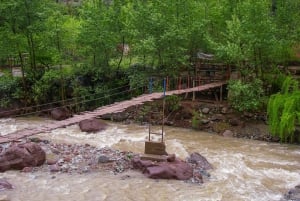 Marrakech : Privat till Ourika Valley Atlasbergen & Lunch