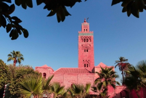 Marrakech: Private Tour w/ Locals – Highlights & Hidden Gems