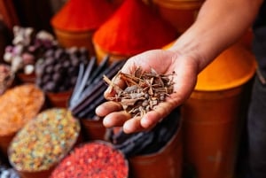 Marrakech: tour privato con la gente del posto – Punti salienti e gemme nascoste