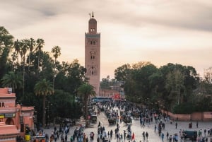 Marrakech : Traslado privado desde/hasta el aeropuerto RAK