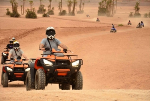 Marrakech: Quad-aktivitet i Palmeraie med tepause