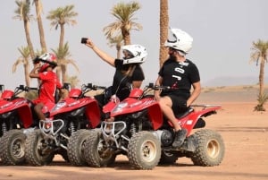 Marrakech: Quad activity in the Palmeraie with Tea break