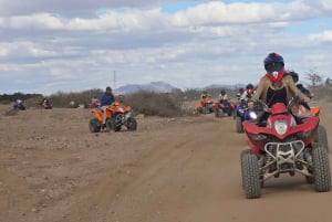 Marrakech: Quad-Aktivität in der Palmeraie mit Teepause