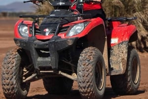 Marrakech: Quad-Aktivität in der Palmeraie mit Teepause