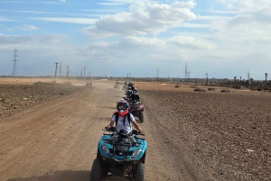 Marrakech: Quad-Aktivität in der Palmeraie mit Teepause