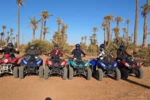 Marrakech: Quad-Aktivität in der Palmeraie mit Teepause