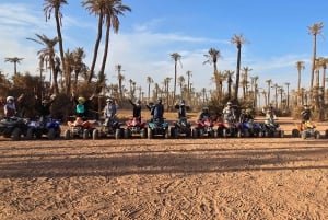 Marrakech: Quad-Aktivität in der Palmeraie mit Teepause