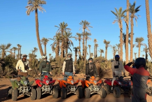 Marrakech: quad Adventure at the Dunes of the palmery desert