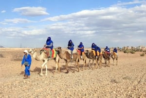 Marrakech: quad e giro in cammello a Marrakech