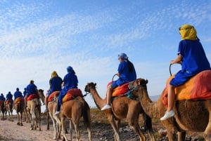 Marrakech: firhjuling og kameltur i Marrakech