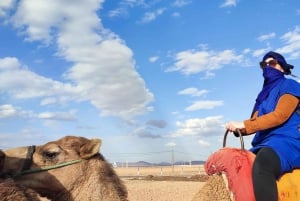 Marrakech: quad y paseo en camello en Marrakech