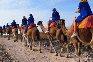 Marrakech: quad en kamelenrit in Marrakech