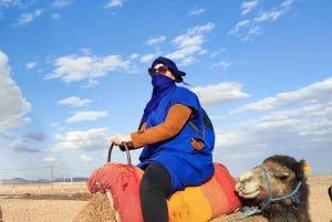 Marrakech: quad en kamelenrit in Marrakech