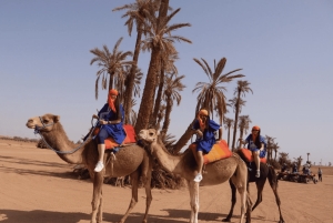 Marrakech: Quad en kamelenrit met thee