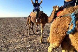 Marrakech: Fyrhjuling och kamelridning med middag i Agafay