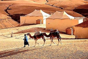 Marrakech: Fyrhjuling och kamelridning med middag i Agafay