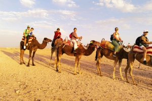 Marrakech: Fyrhjuling och kamelridning med middag i Agafay