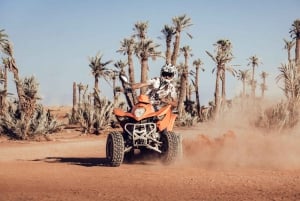Marrakech : ATV Quad Biking Tours in Desert and Palm Grove