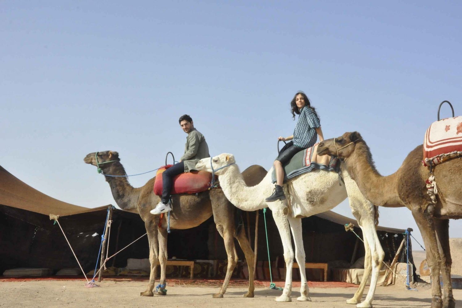 Marrakech: Palm Grove Buggy Ride with Moroccan Tea & Pancake