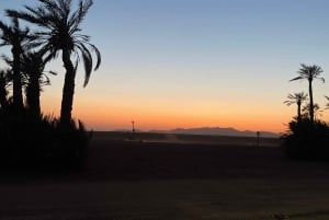 Marrakech: Palm Grove Buggy Ride with Moroccan Tea & Pancake