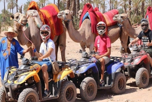 Marrakech Quad Bike & Camel Ride in Palmeraie