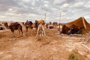 Marrakech : Quad et chameau avec dîner-spectacle et coucher de soleil