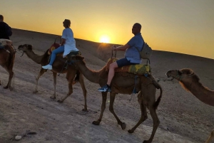 Marrakech : Quad et chameau avec dîner-spectacle et coucher de soleil
