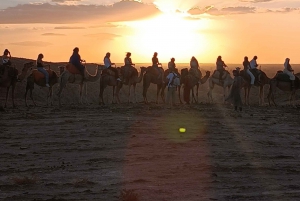 Marrakech : Quad et chameau avec dîner-spectacle et coucher de soleil