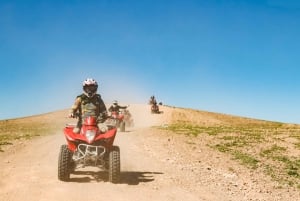 Experiencia en quad en Desierto y Palmeraie