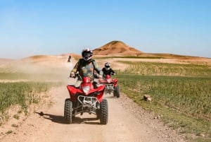 Marrakech Quad Bike Experience: Öken och Palmeraie