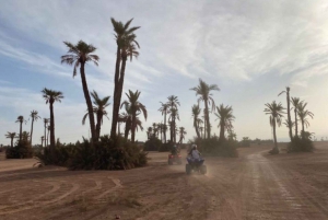 Heldag i Agafyöknen, lunch och simning med Quad