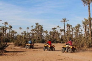 Heldag i Agafyöknen, lunch och simning med Quad