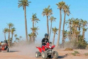 Heldag i Agafyöknen, lunch och simning med Quad
