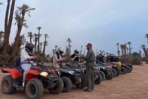 Marrakech : Quad Excursion In The Palm Grove & Jbilet Desert