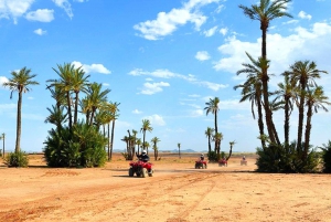 Marrakech: Quadcykeltur i Palmeraie-ørkenen og palmelunden