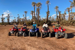 Marrakech: Quad Bike Tour to Palm Oasis and Jbilat Desert