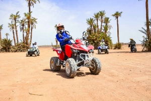 Marrakech: Passeio de quadriciclo ao Palm Oasis e ao deserto de Jbilat
